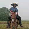 Daniel Polly843 - @danielpolly843 - TikTok