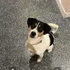 DaniëlleOR - @daniellepolman1998 - TikTok