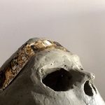 Daniel Polonsky - @dannypolonsky - Instagram