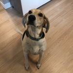 Daniel Polonsky - @daniel__polonsky - Instagram