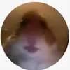 Daniel polt - @poidi6 - TikTok