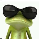 Daniel Polzer - @danielp12329 - Instagram