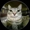 Daniel Poma - @daniel.poma78 - TikTok