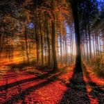 Daniel Pomares - @daniel.pomares.56 - Instagram