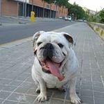 Daniel pomares - @da13nn - Instagram