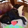 danielponthieu - @danielponthieu - TikTok