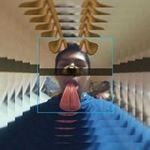 Daniel Ponton - @daniel.ponton.756 - Instagram