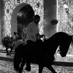 Daniel ponton 🐎 - @esteban_ponton03 - Instagram