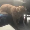 Daniel Porter - @daniel.porter87 - TikTok