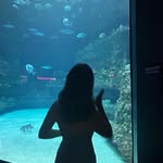 Danielle Prejean - @danielleprejean - Instagram
