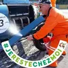 Daniel Leprevost - @danielleprevost1 - TikTok