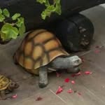 Daniel Prévost - @prevost_daniel_ - Instagram