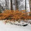 Daniel Prevost - @daniel.prevost8 - TikTok