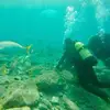 Daniel Prokop - @daniel.prokop07 - TikTok