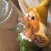 Daniel Qualls - Facebook