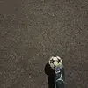 dan_3030 - @danielquechol - TikTok