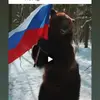 Daniel Queiroz - @danielqueiroz65 - TikTok