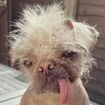 Daniel Quimby - @quimby4504 - Instagram