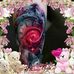 Danny Quinlog - Facebook