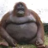 Daniel Quintanilla - @miguelquintanilla65 - TikTok