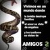 Daniel Quinteros - Facebook