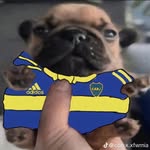 Daniel Quito - @daniel.quito.7731 - Instagram