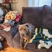 Danielle Raasch - Facebook