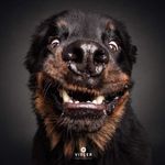Daniel Rabago - @daniel.rabago.180 - Instagram