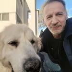 Daniel Rabinovich - @daniel_rabinovich_46 - Instagram