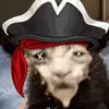 Daniel Racca - @charred_thunder_potato - TikTok