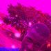 Daniel Raudhi - Facebook