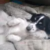 danielradlerr - @snnnko - TikTok