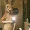 Daniel Rafael - @danielrafael4769 - TikTok