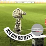 Daniel Raffelsberger - @daniel_raffelsberger - Instagram