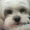 Raffis💗Daniel - @raffis.daniel - TikTok
