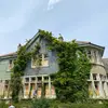 Danielle Raffield - @raffield.home.and.design - TikTok