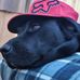 Daniel Rahn - Facebook