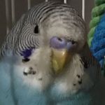 Daniel Rainwater - @danielrainwater77 - Instagram