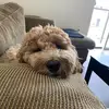 Daniel Raiter - @danielraiter - TikTok