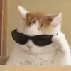 Daniel_raiz - @daniel_raiz - TikTok