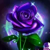 danielraiz556 - @danielraiz556 - TikTok