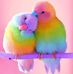 Danial Rajarathnam - Facebook