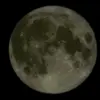Daniel - @danielrajski5 - TikTok