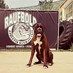 Daniel_RAK - @daniel_r.a.k - Instagram