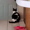 Danielle Rakes - @danielle_rakes - TikTok