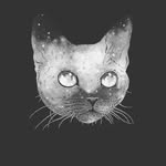 danielrakowiecki - @danielrakowiecki1 - Instagram