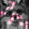Daniel Abramczyk - @danielabramczyk14 - TikTok
