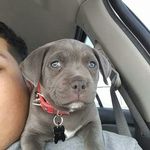 Daniel Ramkissoon - @ramkissoondaniel - Instagram