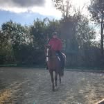 Daniel Ramm - @hobbyreiter2103 - Instagram