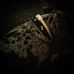 Daniel Ramthun - Facebook